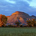 Mt. Garfield Sunset