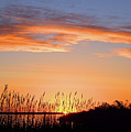 Narrow Bay Sunrise I I