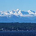 Olympic Mountains From Shoreline Photograph by Mary Jo Allen