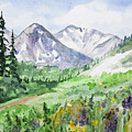 Original Watercolor - Colorado Mountains and Flowers