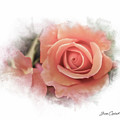 Peach Perfection by Joann Copeland-Paul