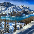 Peyto Lake Winter Panorama