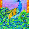 Pretty Peacock