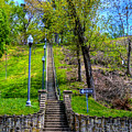 QUincy Hill Steps