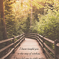 Right Paths Proverbs 4 11 by Joann Copeland-Paul