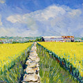 Rusty Barns Near Frampton Mansell by Seeables Visual Arts