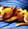 Sleeping Kitty Painting by Valerie White