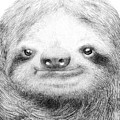 Sloth