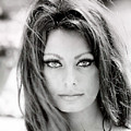 Sophia Loren