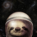 Space Sloth