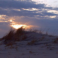 Sunset Dunes