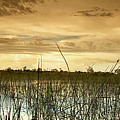 Sunset over the Okavango Photograph by Alberto Audisio