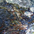 Susan's Creek