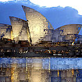 Sydney Opera in Australia Digital Art by Rafael Salazar