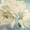 tenderly
