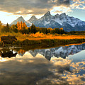 Teton Moose Sunset Stroll
