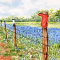 Texas Bluebonnets Boot Fence by Carlin Blahnik CarlinArtWatercolor