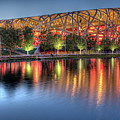 The Bird's Nest