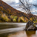 The Shenandoah in Autumn