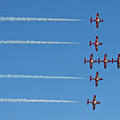 The Snowbirds 