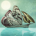 The Voyage