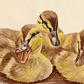 Three Ducklings Painting by Angeles M Pomata