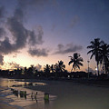 Tropical Dawn by Robert Newman