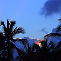Tropical Sunrise I I by Robert Newman