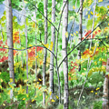 Watercolor - Northern Forest