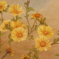Yellow Daisies