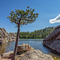 Sylvan Lake