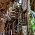 Cayman Crystal Caves & Nature Forest #7 by Angela Pagano