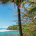 A Peak At Paradise