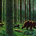 A Walk Through The Woods