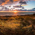 Beachfront Sand Dune Sunset Photograph by Owen Weber