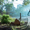 Blue lady Photograph by Jeremy Holton