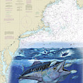 Bluefin Tuna Chart by Mark Ray