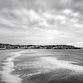 Bondi BW