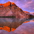 Bow Lake Summer Sunrise Reflections Photograph by Adam Jewell