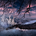 Bronte on Ice
