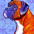Devoted Guardian - Colorful Brindle Boxer Dog