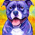 Peppy Purple Pitbull Terrier Dog