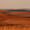 fall Colors  Flint Hills Prairie III