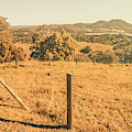 Farm fields of Eumundi, Sunshine Coast Photograph by Jorgo Photography