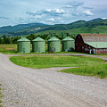 Grain Bins Along the Gallatin