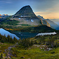 Hidden Lake Summer Gold Photograph by Adam Jewell
