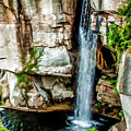Lookout Mountain Waterfall by Joann Copeland-Paul