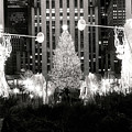 New York City, Ny, Rockefeller Center, Christmas Tree
