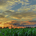 Panoramic Cornfield Sunset Photograph by Jason Fink