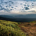 Prairie Morning On Mt Elbert Photograph by Owen Weber